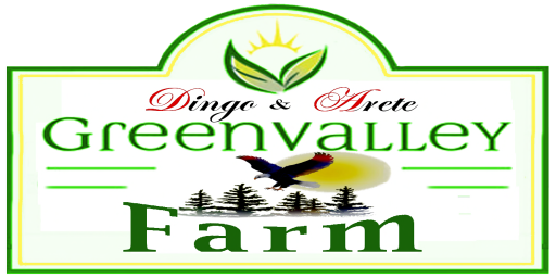 Green Valley Farm & Market